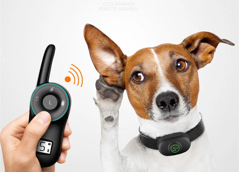 Waterproof dog electric training collar with remote control in black or orange colour