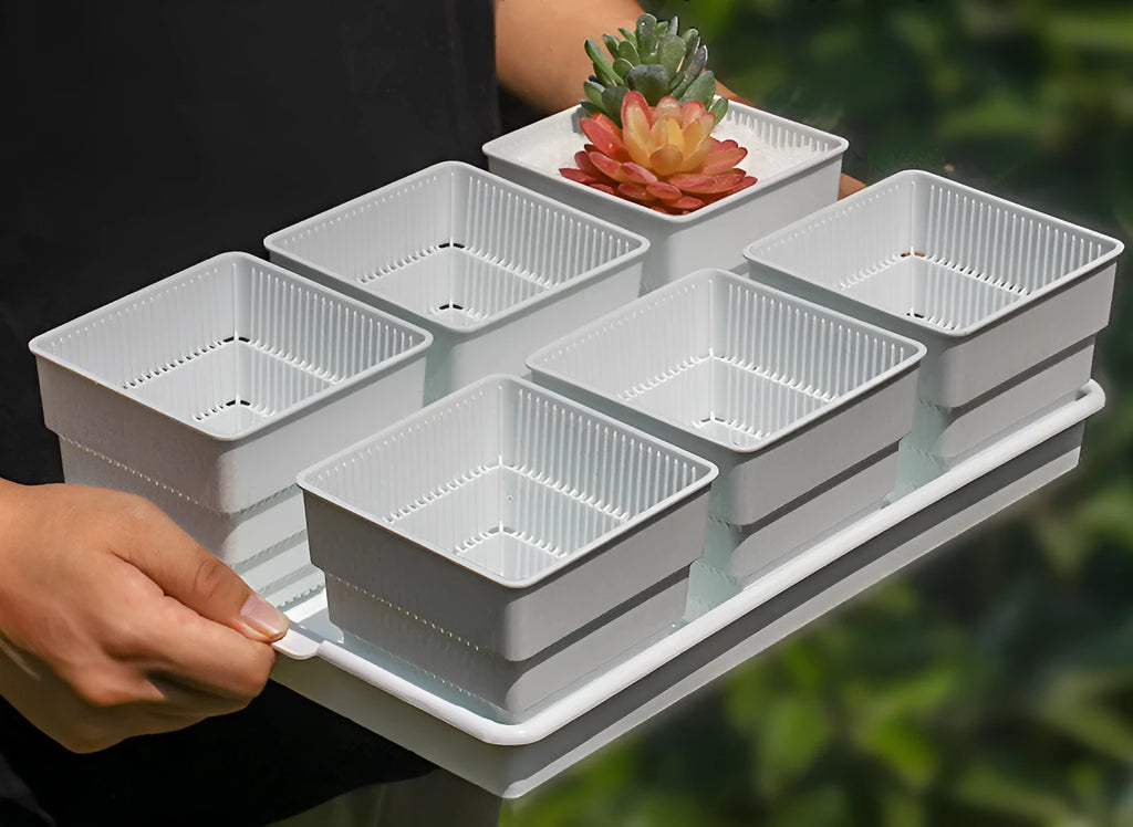 Meishi Controlled Root resin succulent flower pots in black and white with drainage tray