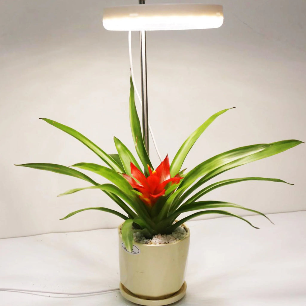 Compact full spectrum LED plant growth lamp with double head design and PC shell for indoor desk gardening