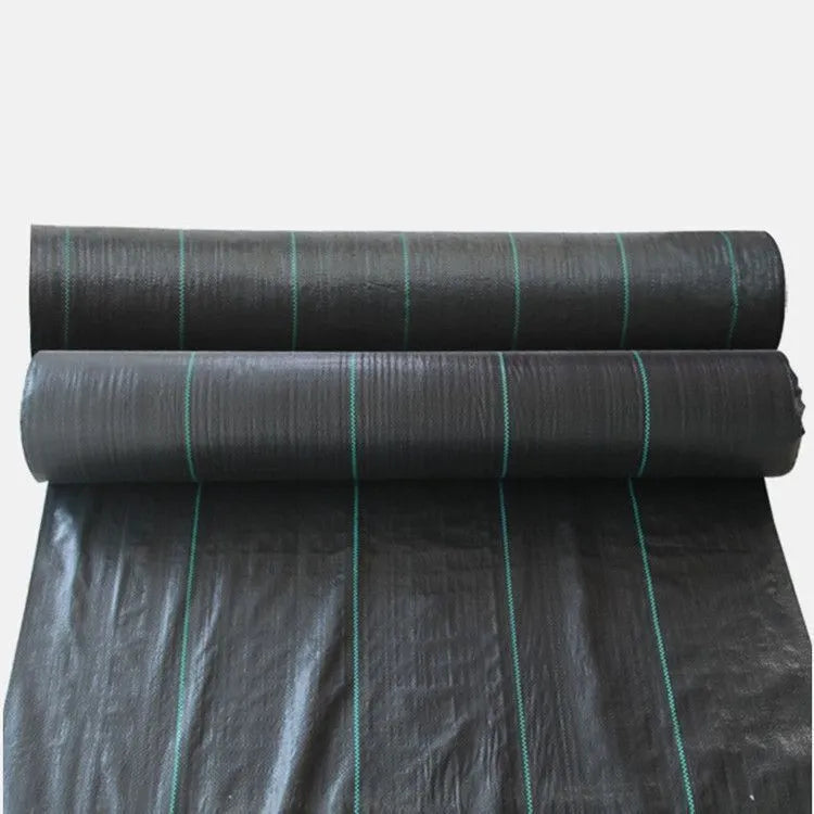 Black polyethylene weed-proof cloth laid out on soil for greenhouse or farmland ground cover.