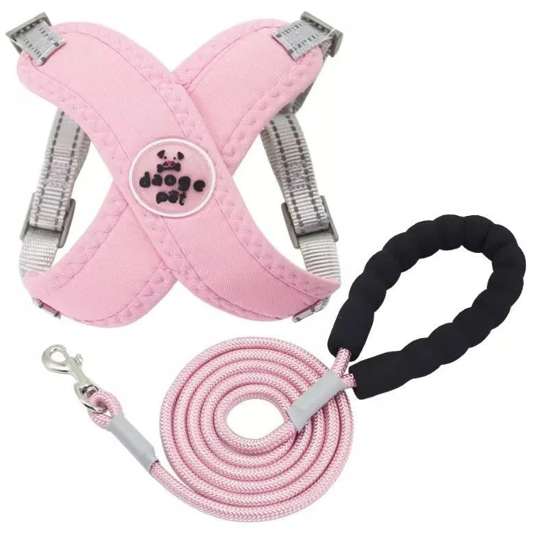 Blue polyester dog walking vest and leash set shown on a small dog