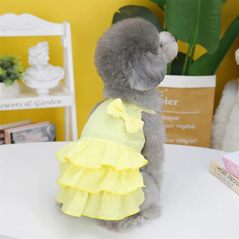 Small dog wearing a rose red polyester princess dress with a candy layered skirt.