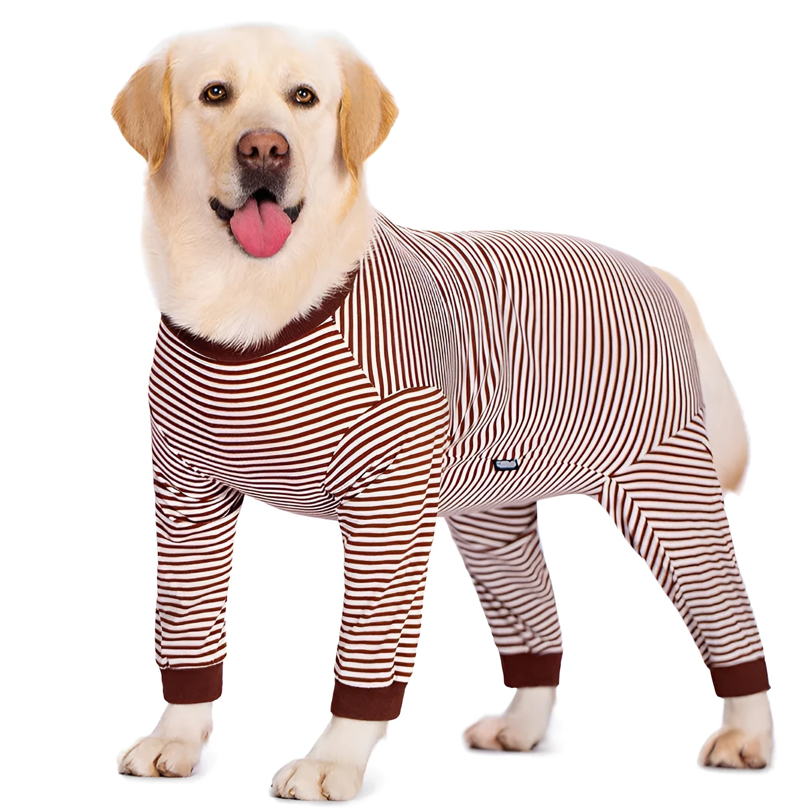 Four-legged striped dog shirt for golden retrievers and labradors in lightweight polyester material