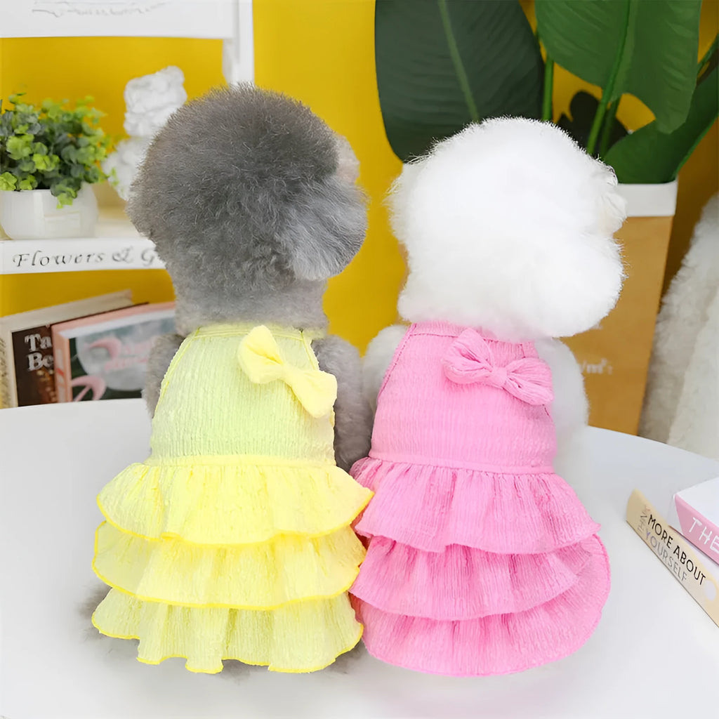 Small dog wearing a rose red polyester princess dress with a candy layered skirt.
