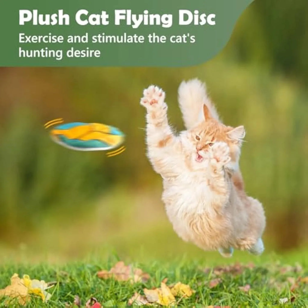 Catnip flying disc toy with sports pattern measuring 5x5x2cm containing crinkle sounds