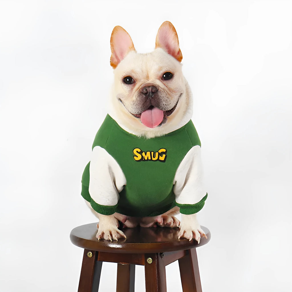 Green cotton dog coat for large breeds shown in sizes from L to 4XL for winter wear