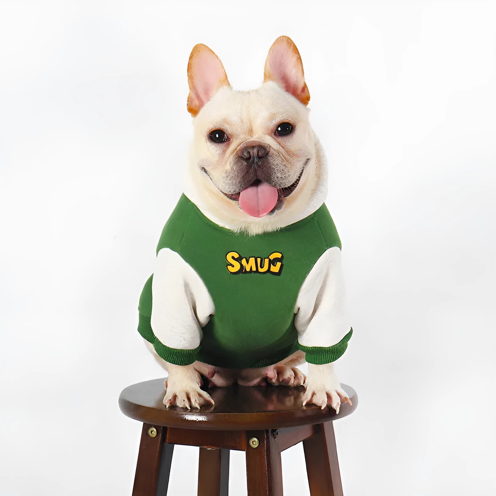 Green cotton dog coat for large breeds shown in sizes from L to 4XL for winter wear