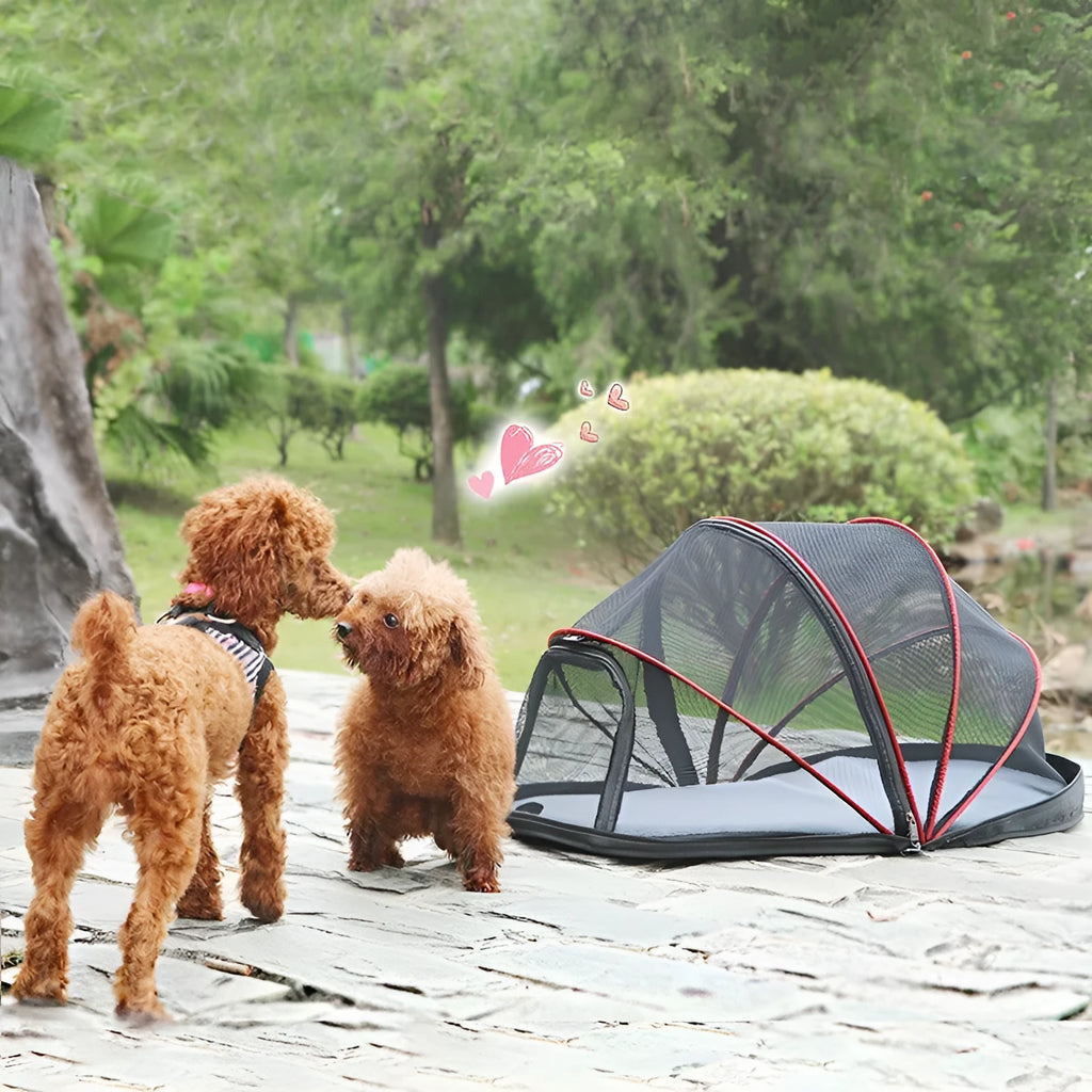Foldable black and blue half mesh cat travel tent in collapsed and set-up positions
