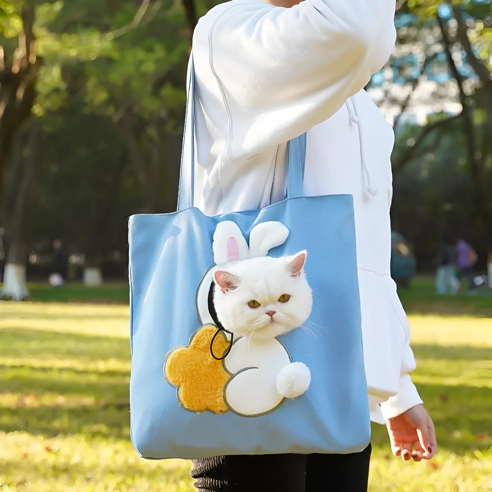 Canvas pet carrier backpack with cartoon pattern design for small dogs and cats
