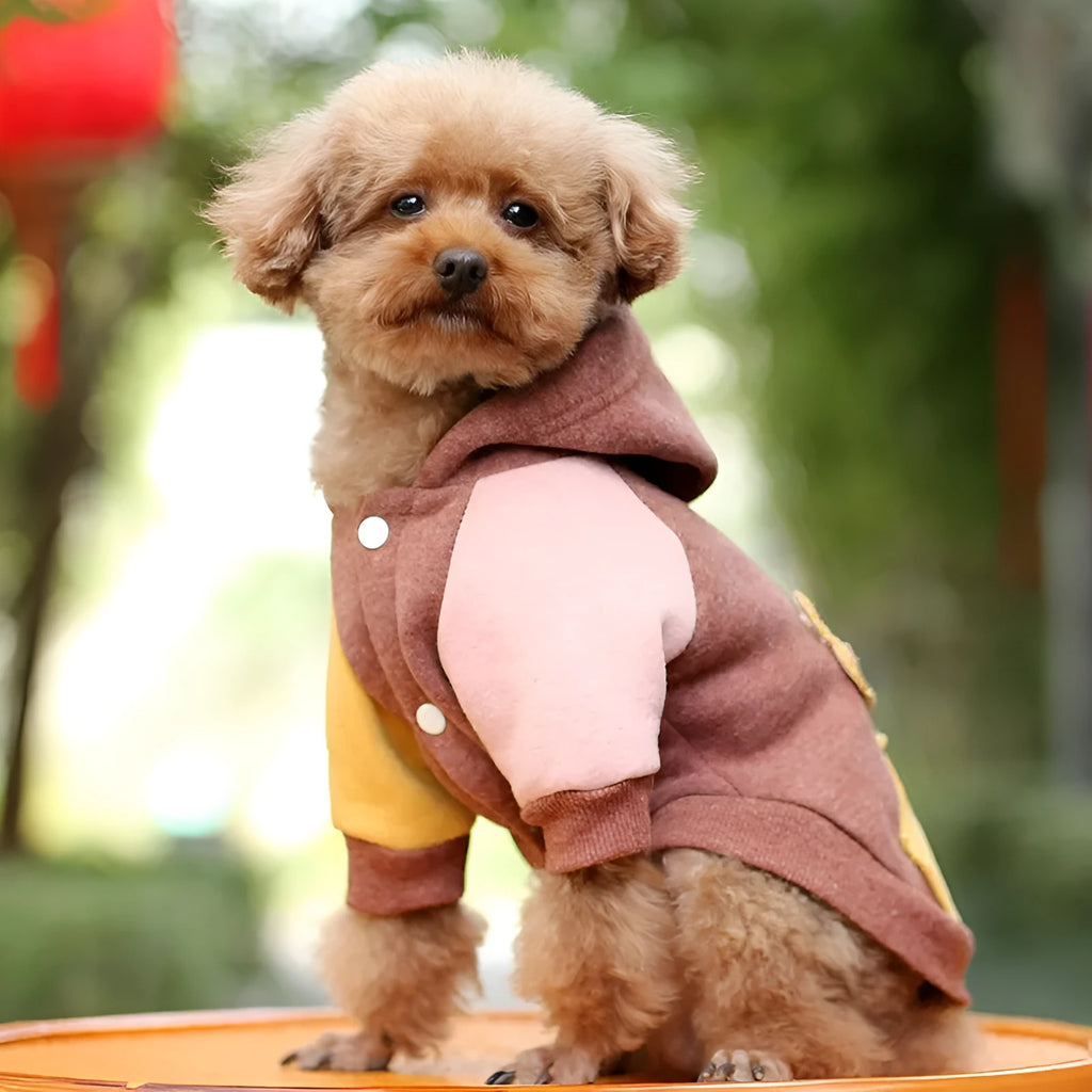 Brown cotton dog sweatshirt for leisure wear, shown on a model.