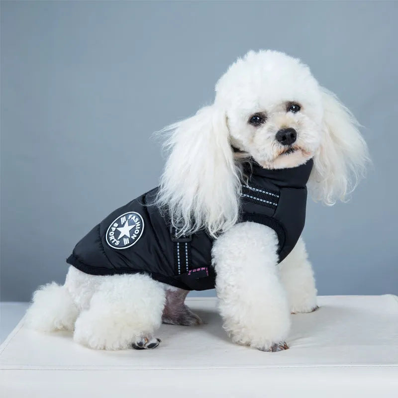Waterproof dog coat in rain silk fabric with harness hole for lead attachment