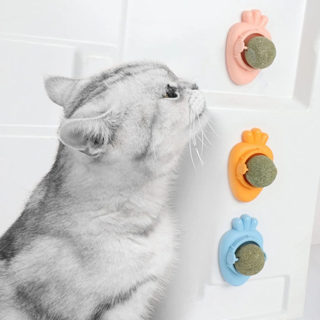 Blue carrot-shaped self-adhesive catnip toy for wall mounting and teeth cleaning