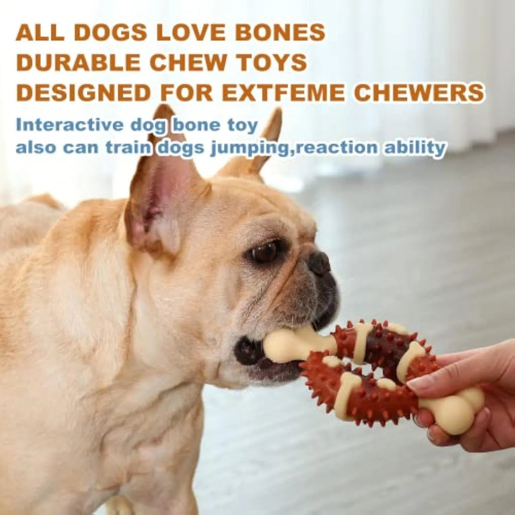 Bone-shaped natural rubber dog chew toy for teeth grinding, shown in two sizes.
