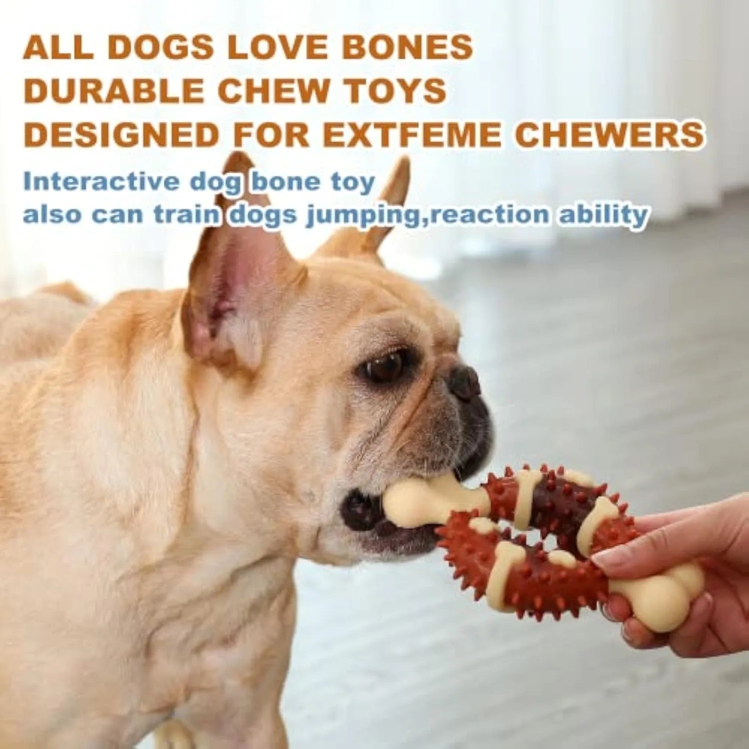 Bone-shaped natural rubber dog chew toy for teeth grinding, shown in two sizes.