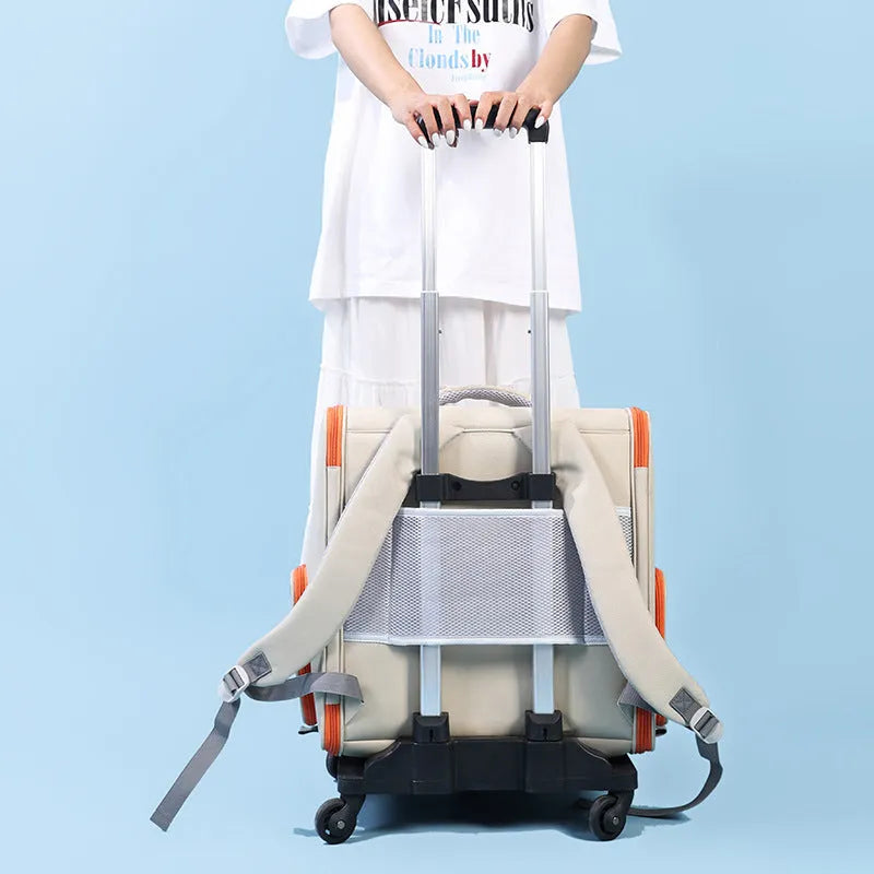Large capacity nylon pet trolley bag panoramic model in khaki with backpack straps