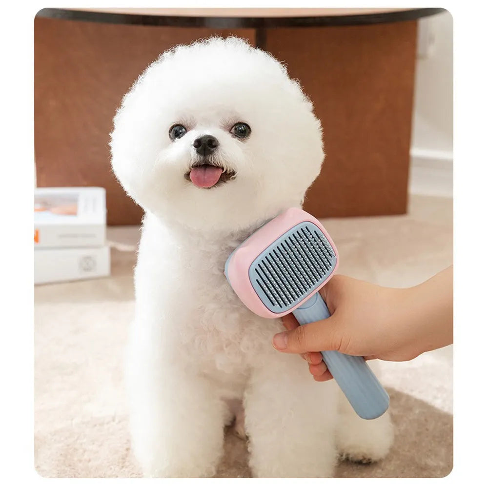 Blue and green double-sided pet grooming brush with deshedding rake and dematting comb on a white background