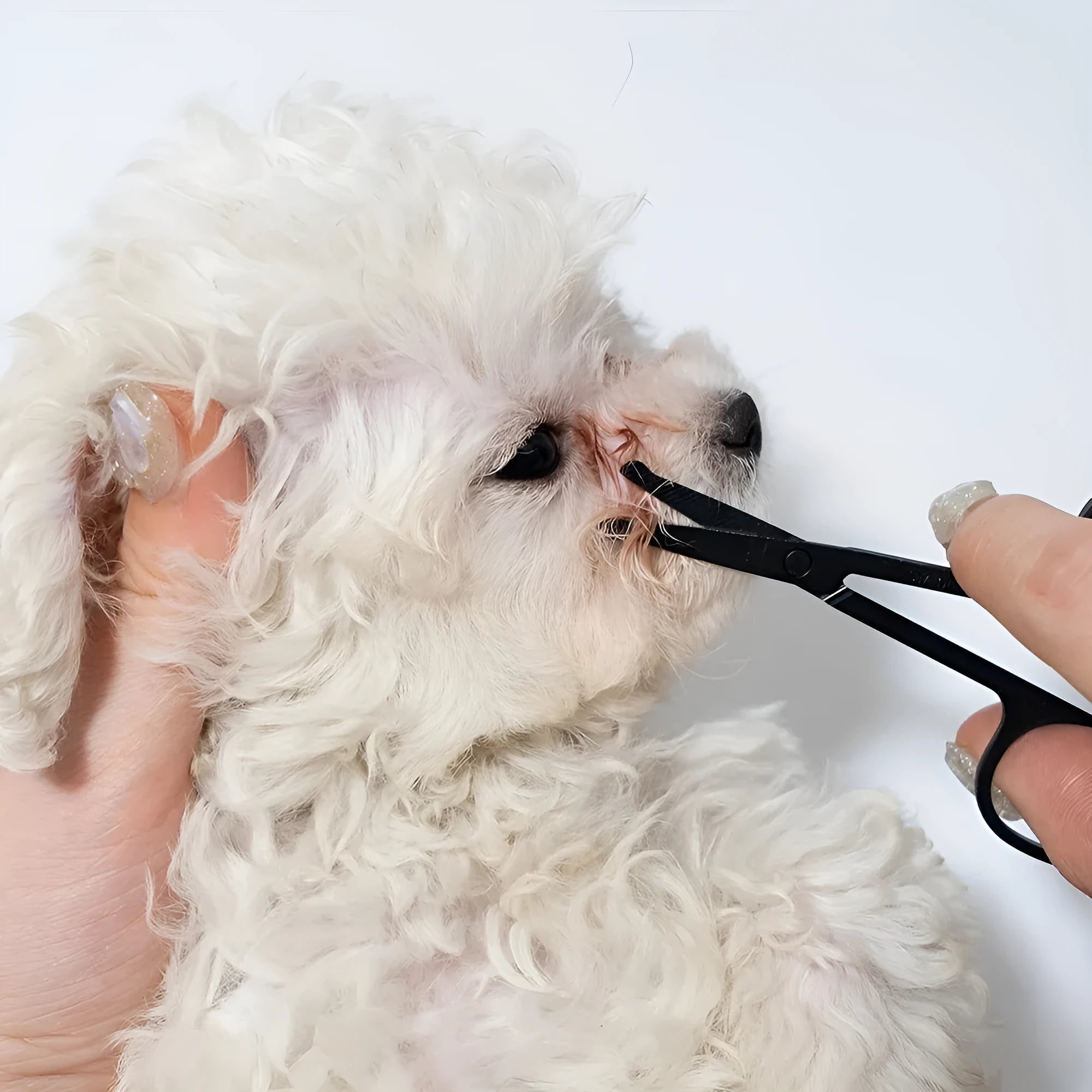 Black pet grooming brush with a soft rubber tear stain remover tool and a plastic comb on an ambidextrous handle.