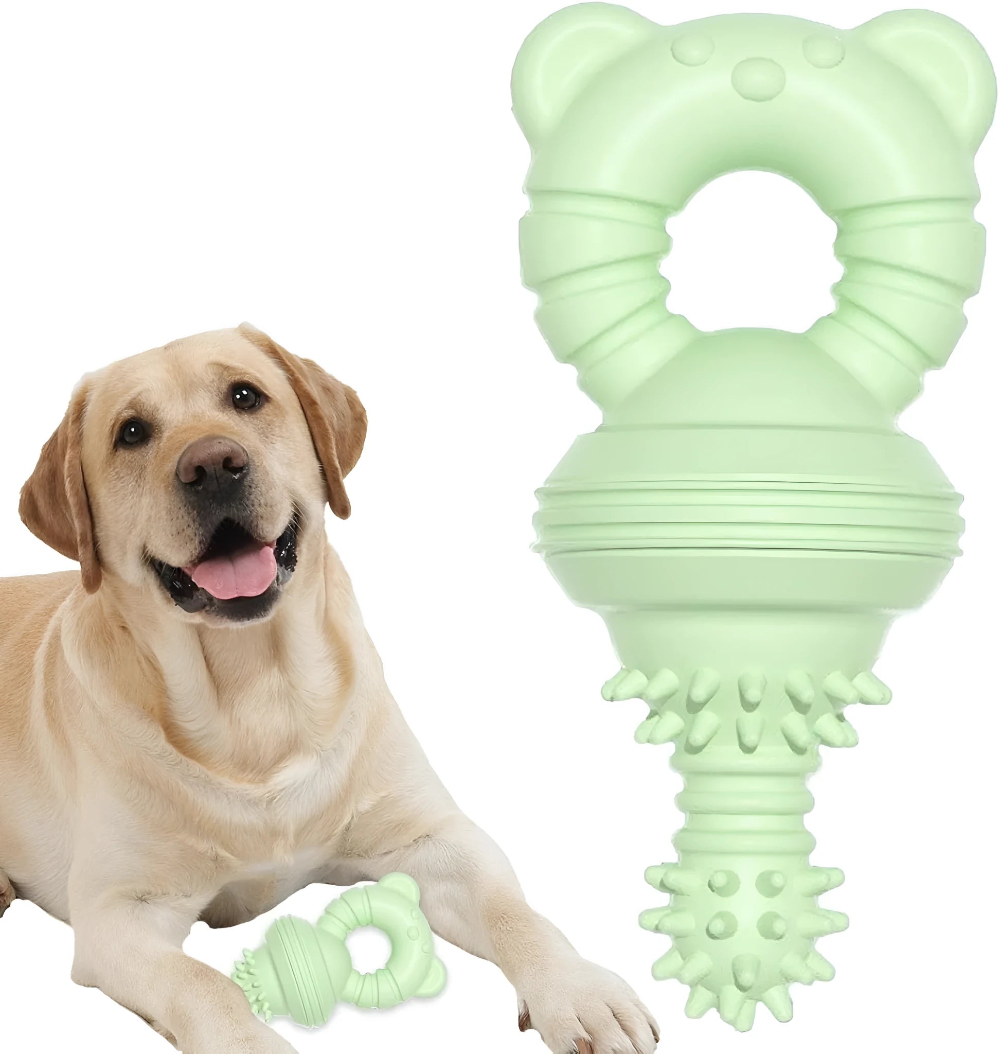 Blue rubber molar dog chew toy with textured surface and bell inside.