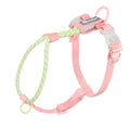 Solid colour PVC dog hand holding rope leash in dark red purple yellow or taoyao green, 120cm long.