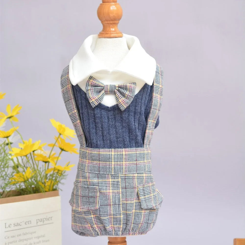 Dog wearing cotton shirt in orange or dark blue with collar and button design