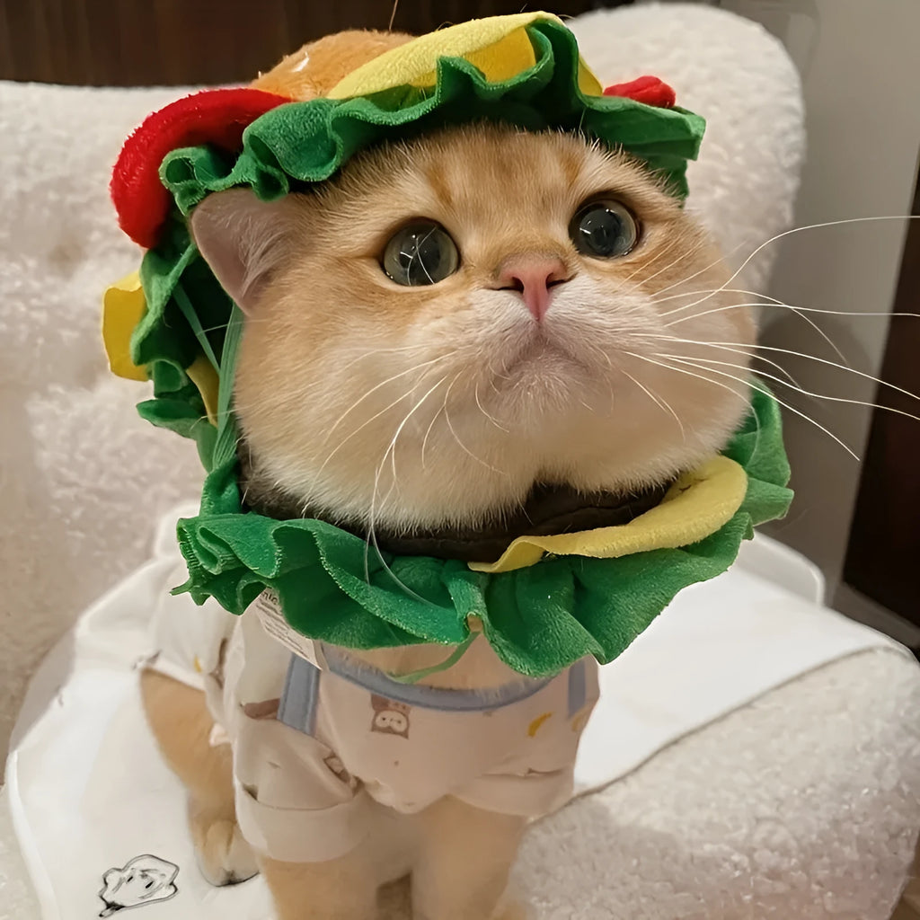 A cat wearing a soft cone collar with a colourful cartoon burger hat on top, sizes S M L available.