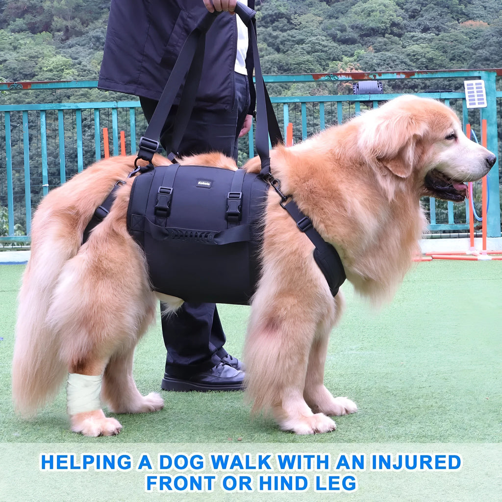 Black Oxford cloth dog harness for outdoor leg support and rehabilitation training.
