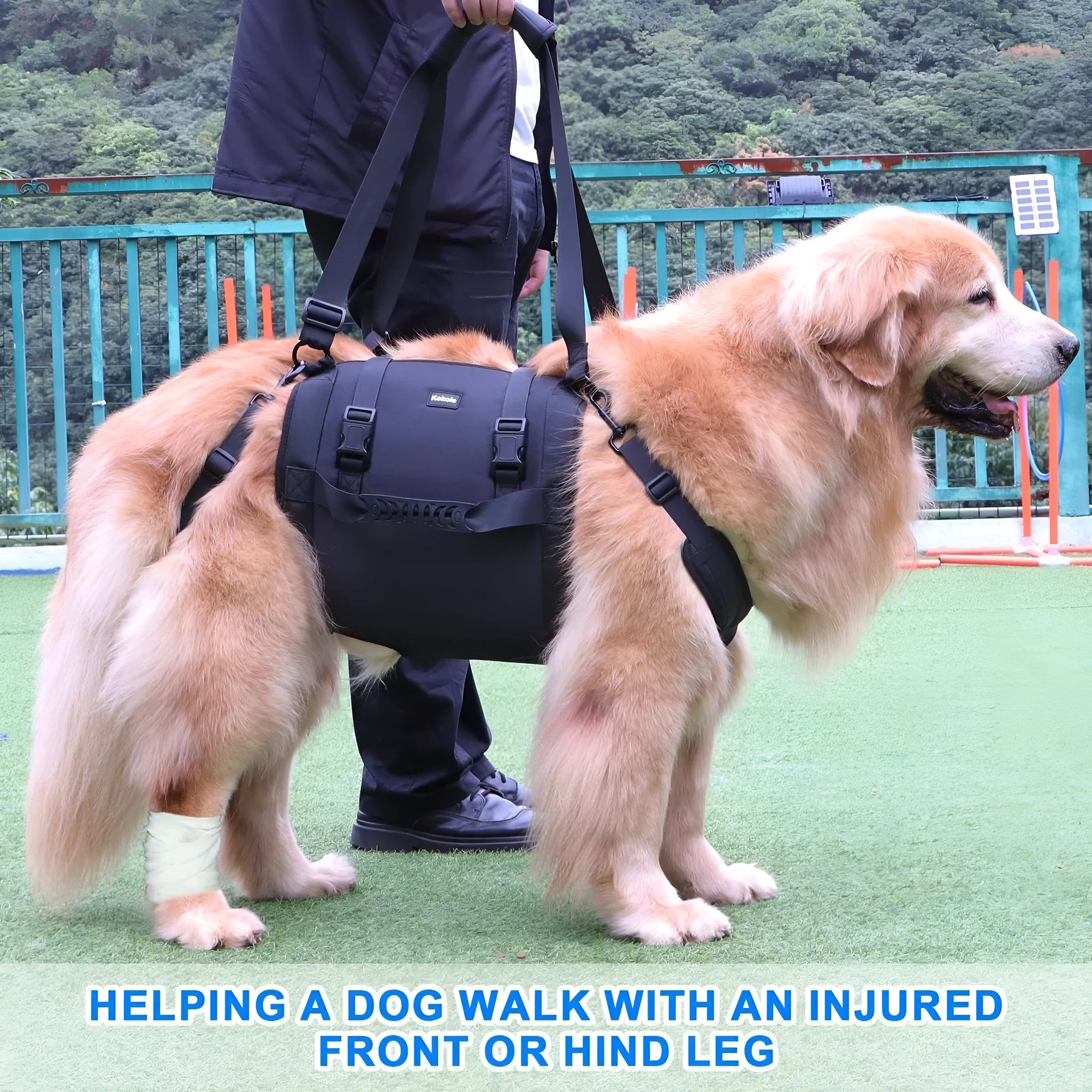 Black Oxford cloth dog harness for outdoor leg support and rehabilitation training.