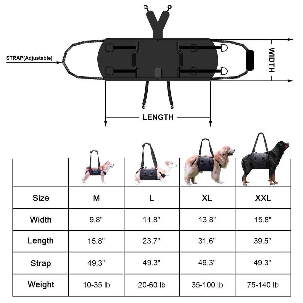 Black Oxford cloth dog harness for outdoor leg support and rehabilitation training.