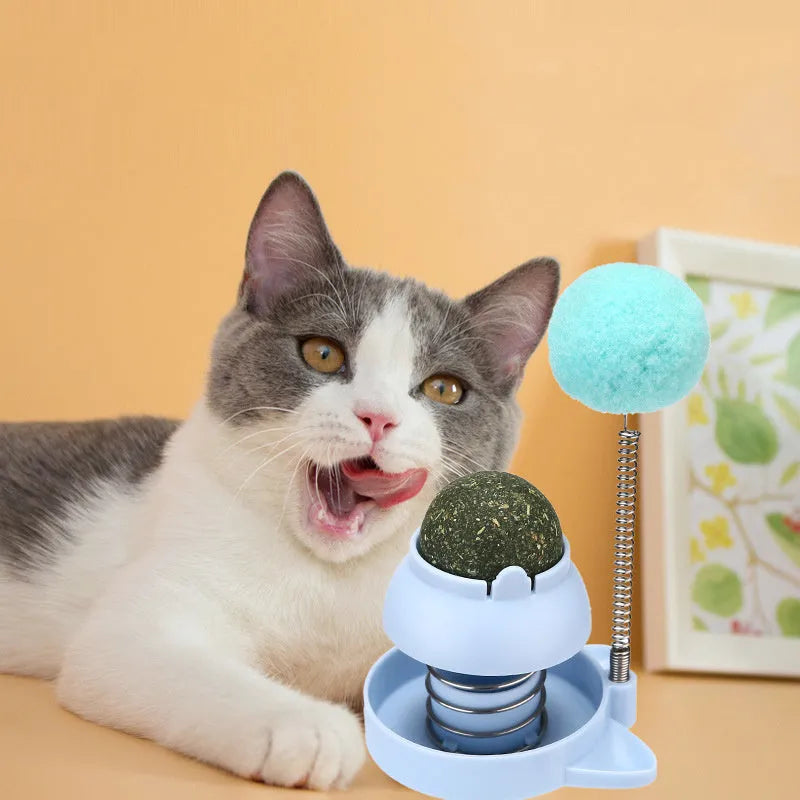 Lucky cat licking mint ball cat toy in blue, orange, and pink colours measuring 55mm diameter