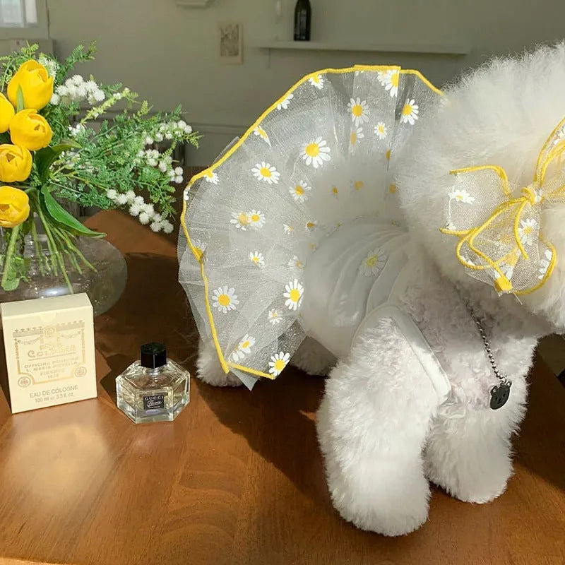 Yellow daisy print polyester dog clothing shown in sizes XS to XL for summer wear