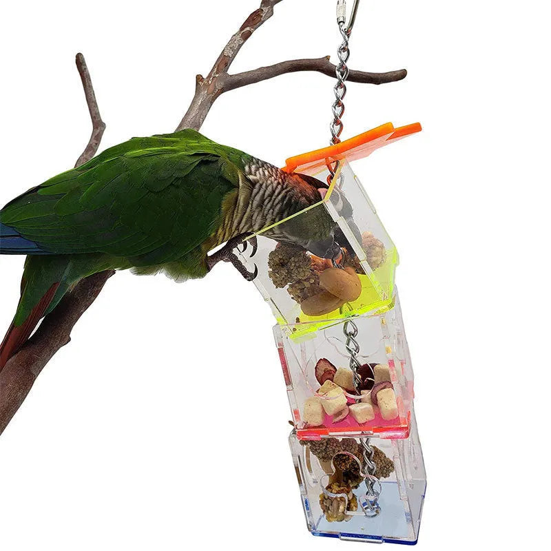Clear acrylic parrot foraging toy for holding nuts and fruit, measuring 5x5x32 cm