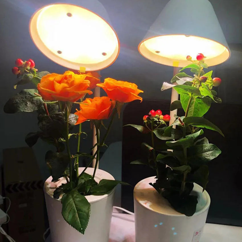 White plastic desktop hydroponic container for soilless plant cultivation with multiple plug standards