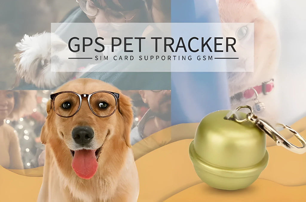 GPS dog tracking collar with adjustable strap in multiple colours