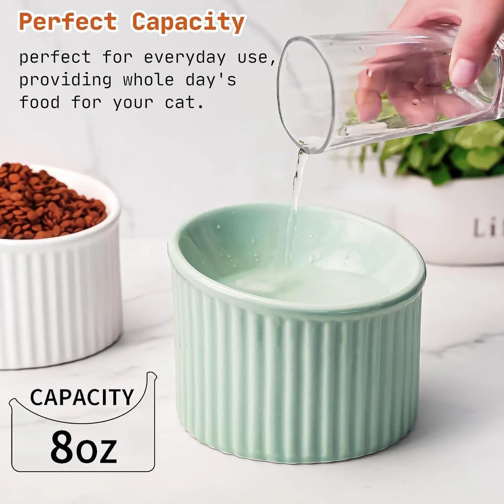 Dark green ceramic elevated cat bowl with tilted, round whisker-friendly design on a wooden floor.