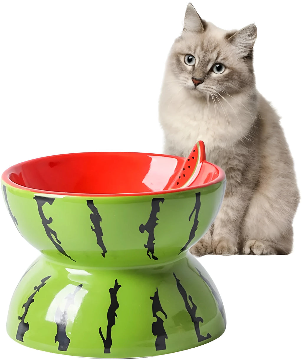 Ceramic raised cat bowl with tilted design in orange, pitaya, or watermelon colour options