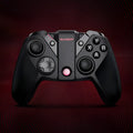 Black Gaishi Chicken Handle game console controller with Type-C USB cable