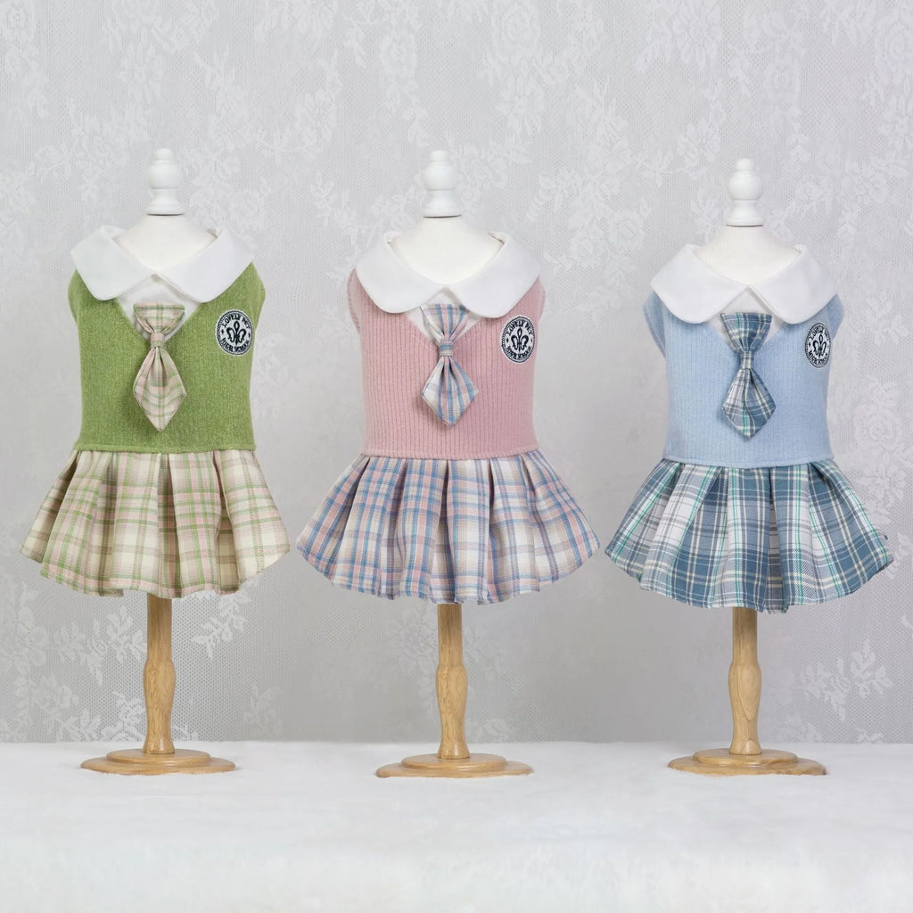 A small dog wearing a pink tartan plaid skirt in a Princess style.
