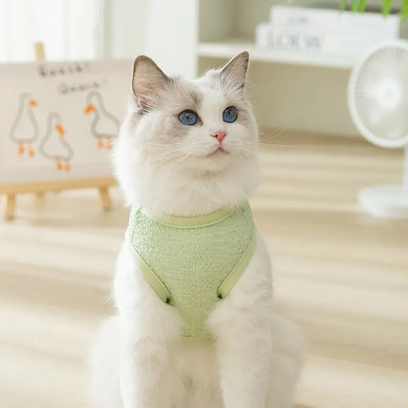 Blue hollowed-out knitted cat jumper with a bear patch, sizes S to XXL