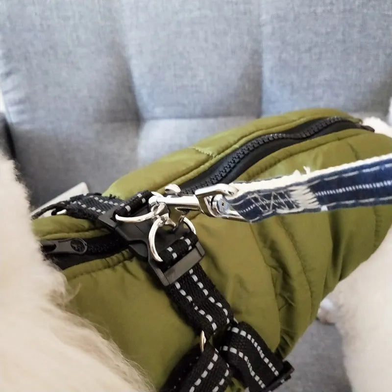 Waterproof dog coat in rain silk fabric with harness hole for lead attachment