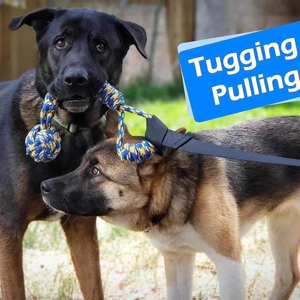 Green cotton tug rope dog toy with knotted construction for interactive play