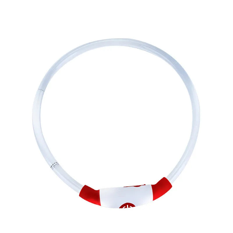 USB rechargeable LED dog collar glowing in dark with adjustable strap