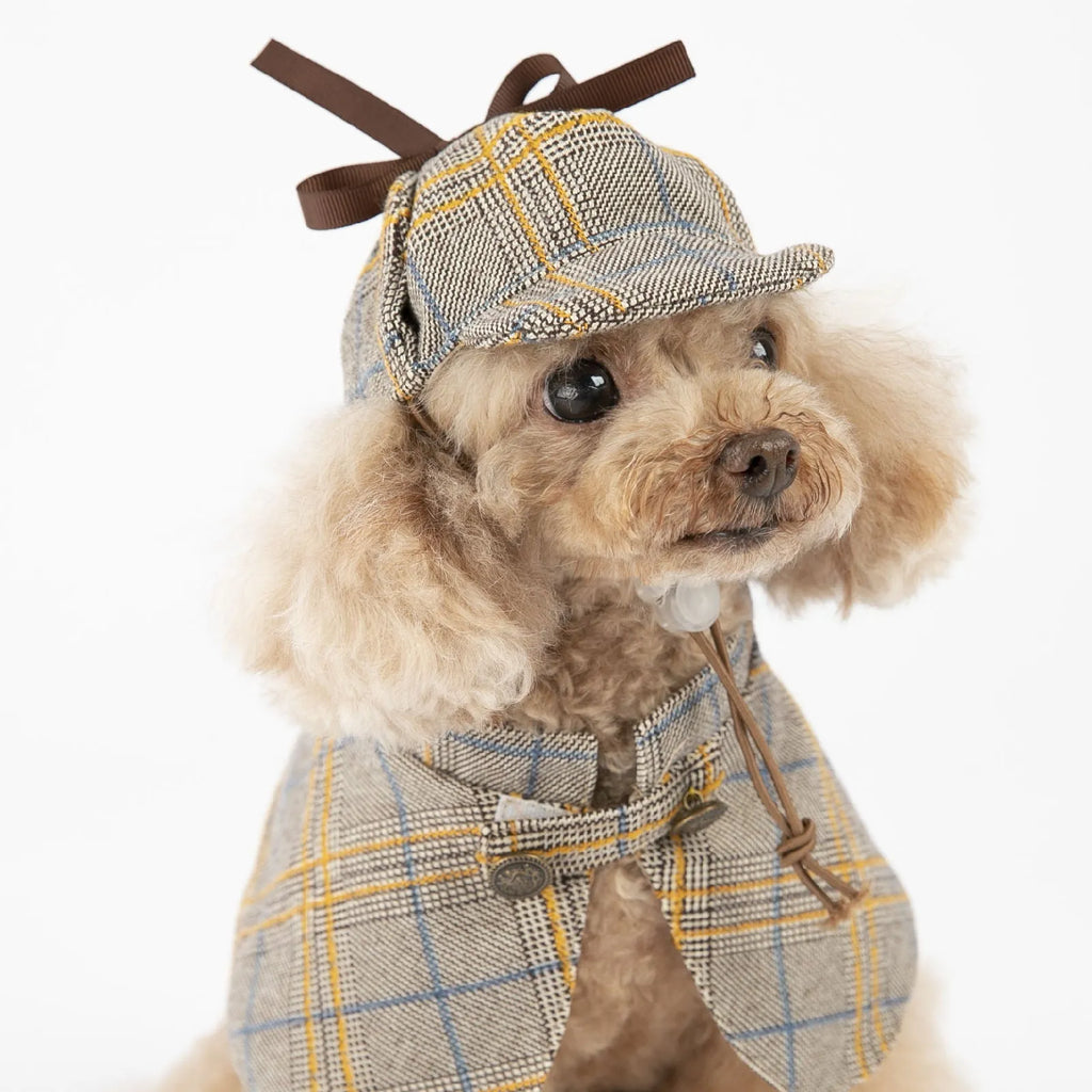 Camel-coloured personalised cotton cloak for a dog, shown with an adjustable hat.