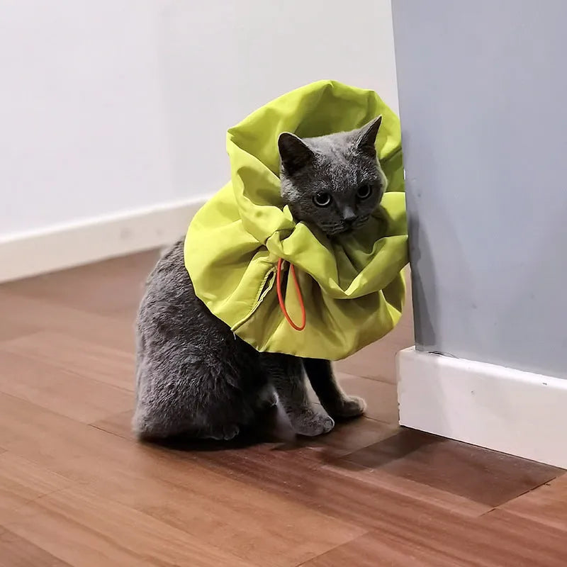 Adjustable soft cat recovery cone collar in blue with elastic buckle for post-surgery protection