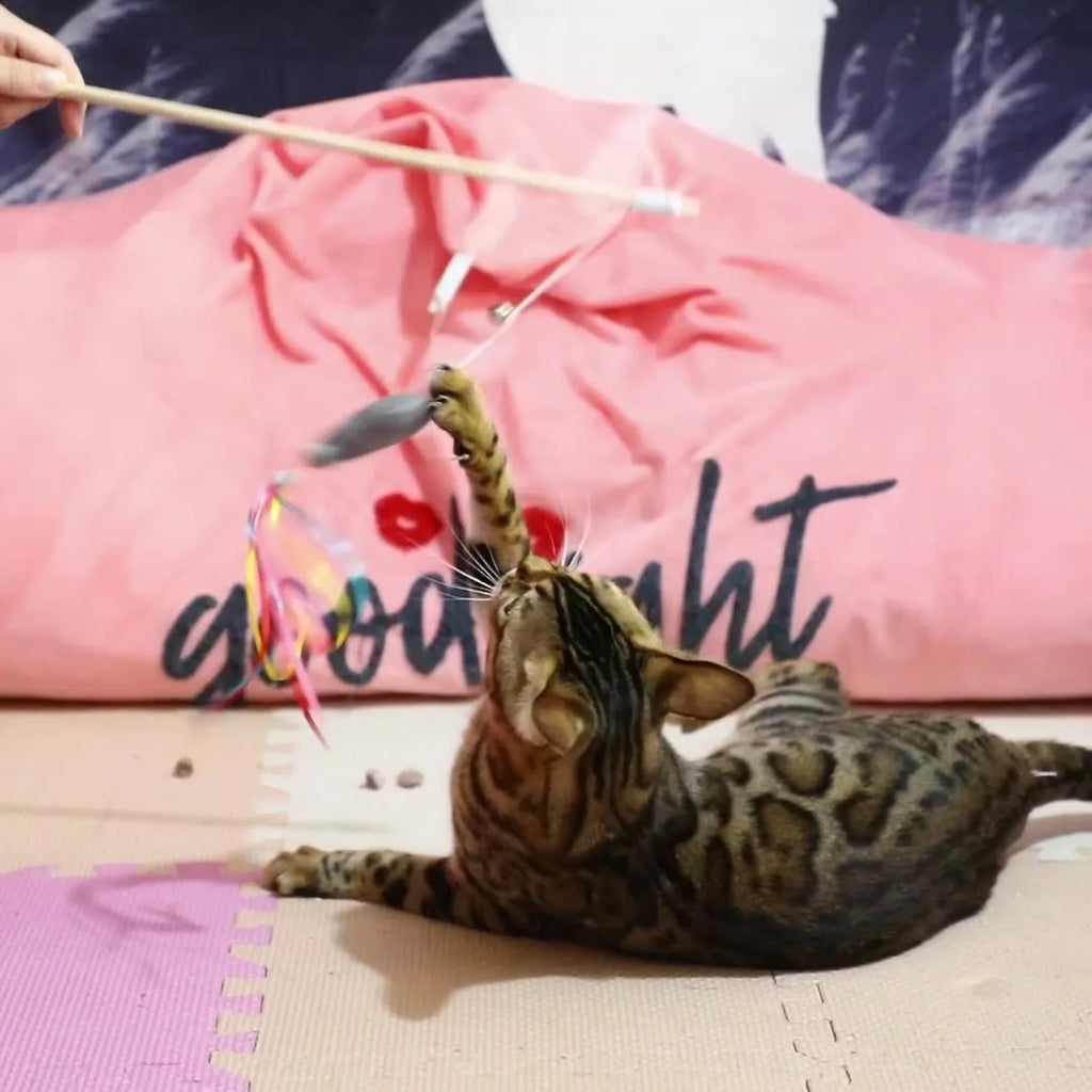 Cat wand toy with colourful ribbons, catnip fish, and bell on wooden handle