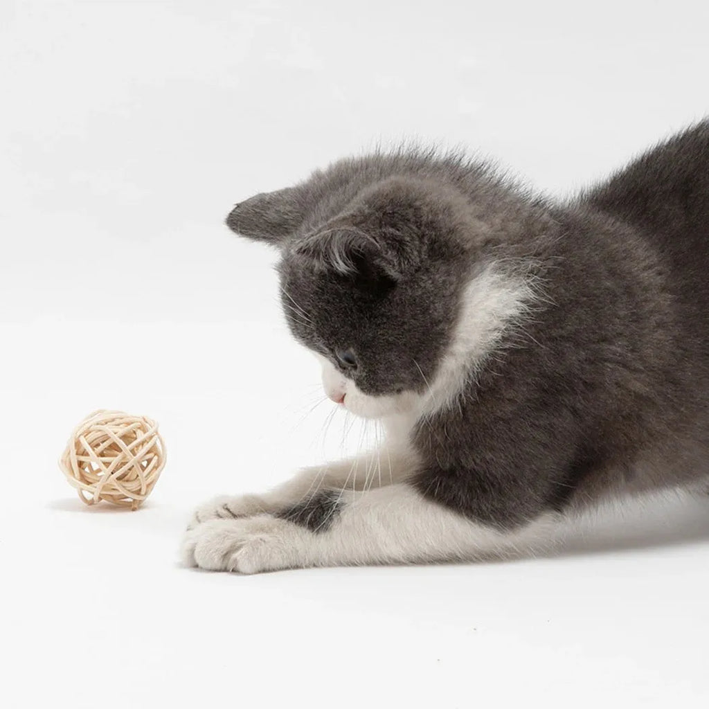Two cat toys: rattan ball and faux feather bell ball with measurements 3.5cm and 4x9cm