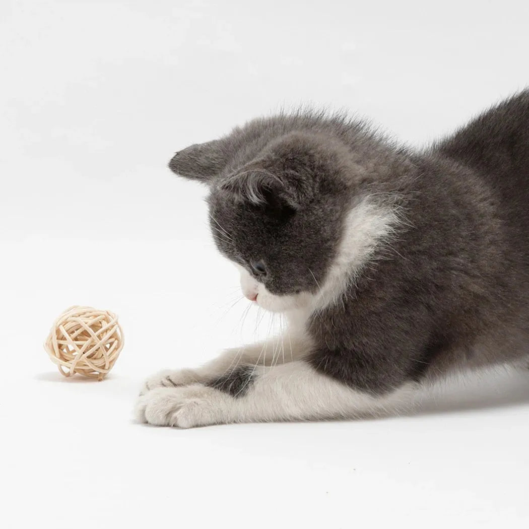 Two cat toys: rattan ball and faux feather bell ball with measurements 3.5cm and 4x9cm