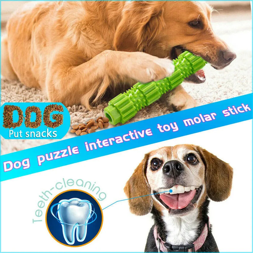 Green and orange durable rubber dog chew toy with textured surface for aggressive chewers.