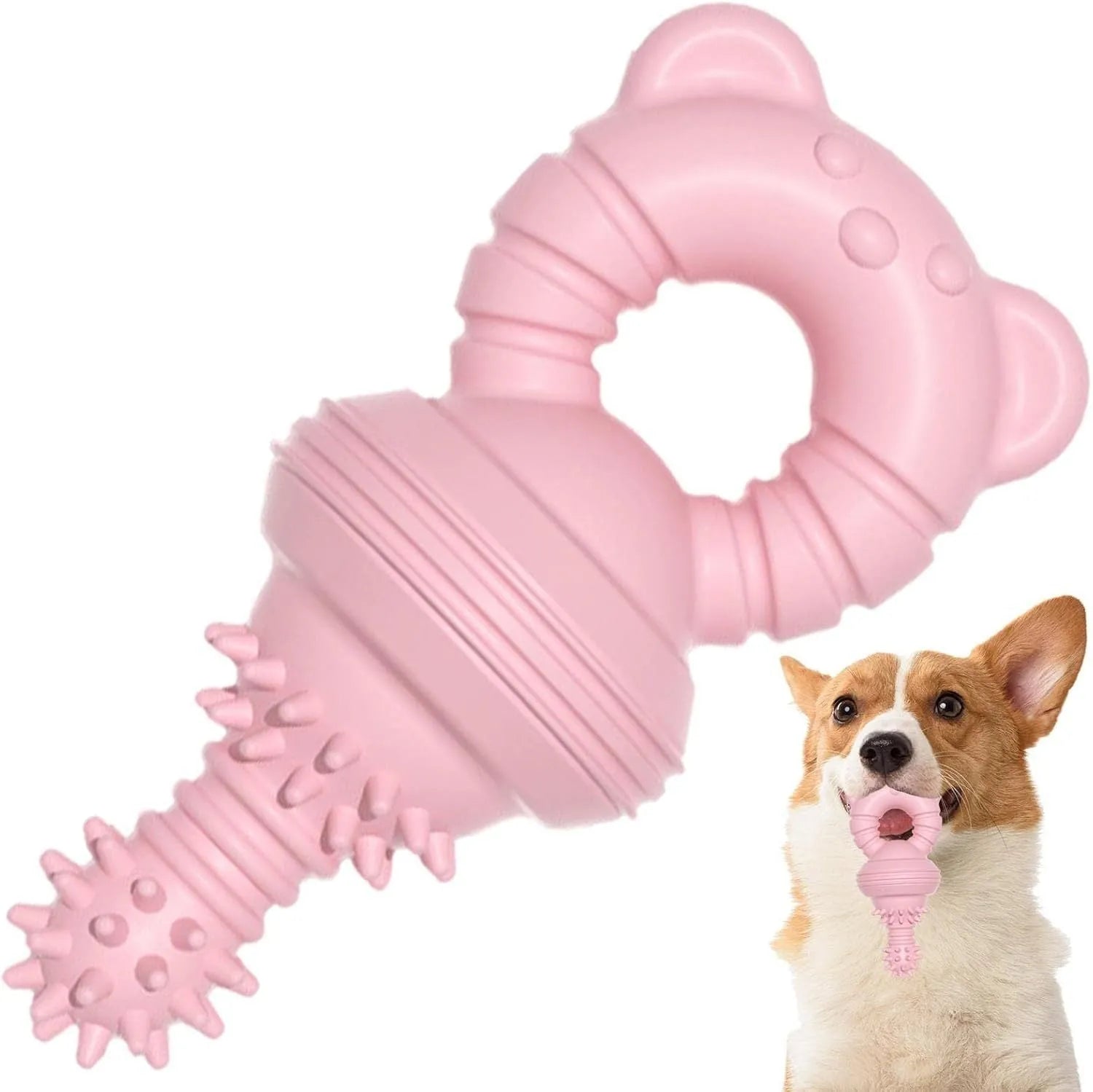 Blue rubber molar dog chew toy with textured surface and bell inside.