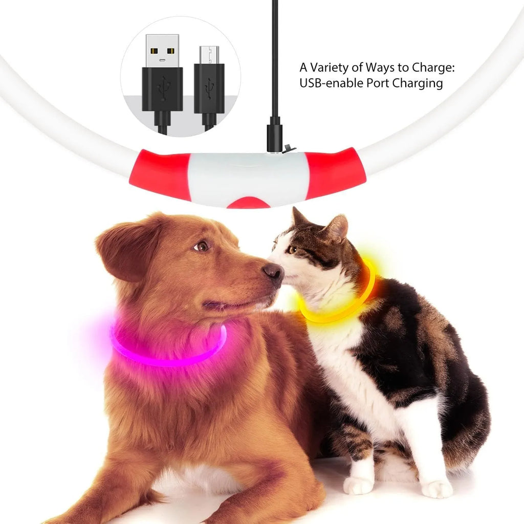 USB rechargeable LED dog collar glowing in dark with adjustable strap