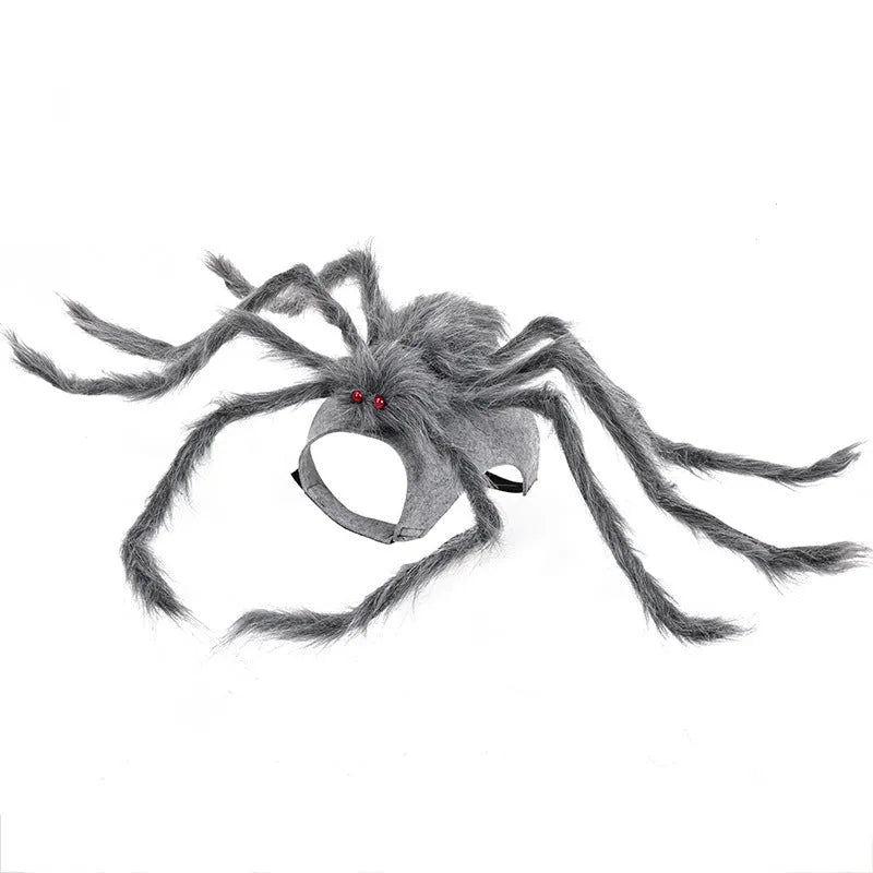 Grey Halloween spider costume for a small dog with eight legs